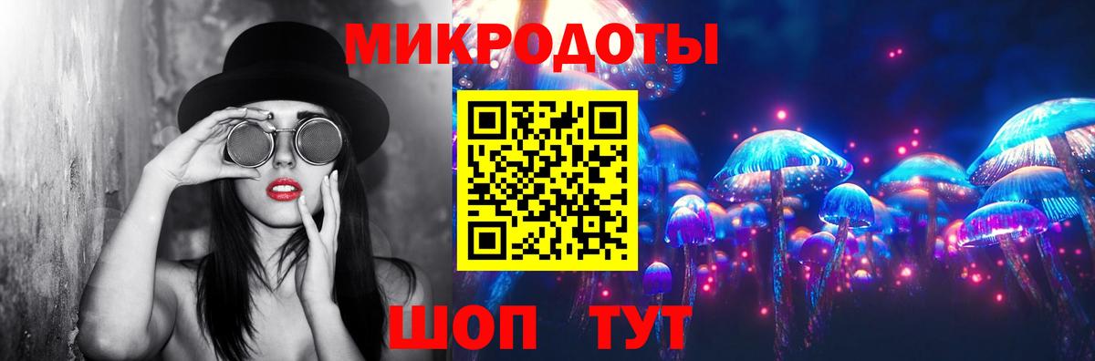 Галлюциногенные грибы Psilocybe  Вход с VPN  Зеленогорск 